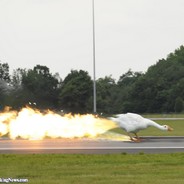 CT 1503 Goose