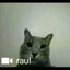 raul