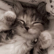 𝖉𝖊𝖓 𝖘𝖔𝖚𝖑