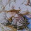 AIK_Чернокнижник