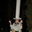 Don Dimadon