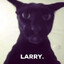 Larry the Evil Cat