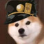 雷临