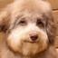 Zeflow