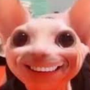 BingusLover