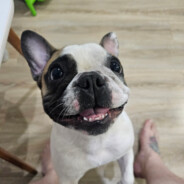 Max🐾(Ø,G) avatar