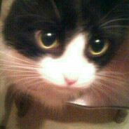 salem's avatar