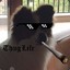 Ydog