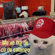 Brinquinho