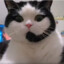 Chao-Zu