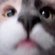 ykris avatar
