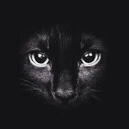 Rqinn-xd - steam id 76561198781394522