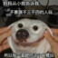 铁柱婶婶