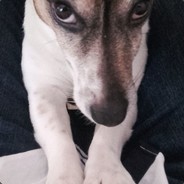 I Rob =] @weirdflexbutok