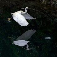 别问我了我不知道