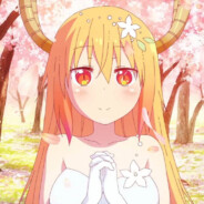 什么都为时已晚