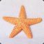 1 Starfish