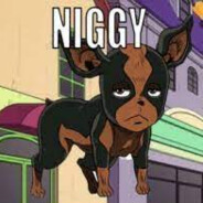 NIGGY