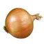 Cebula