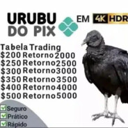 URUBU DO PIX