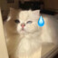 玖玖