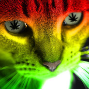 wakenbake