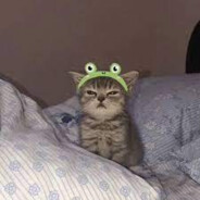 Warriorkitten195