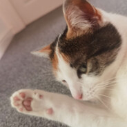 ♿︎ Janusz Wąsacz