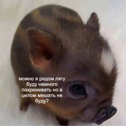 АНАЛЬНЫЙ ПИРАТ - steam id 76561198296357402