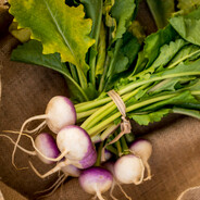Turnip