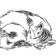 工口少女千千寻