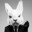 Mr. Bunny