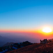 垃圾狗顺丰保价不赔
