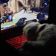 ебнутый кодер