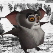 HalilaGench avatar