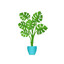 Plantkrukan