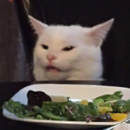 FA1Nt