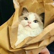 性感萝莉在线射豹