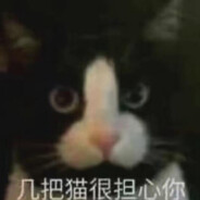 几把猫