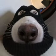 球球补药打窝头