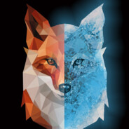 ⭕⃤ICEFOX▼ avatar