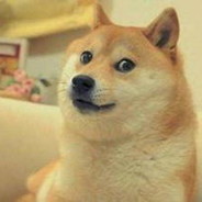 16岁会有真爱吗