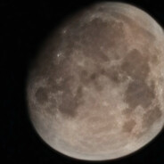 白金瀚次级打手