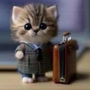 im not a thug, im a businessman
