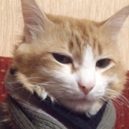 4000 ИГР НА СФЕ