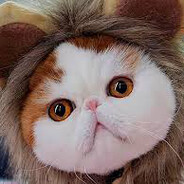 千万别碰光谱箱