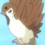 bird-san