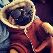 PugsterStv