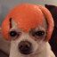 DADYT