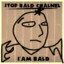 Stop Bald